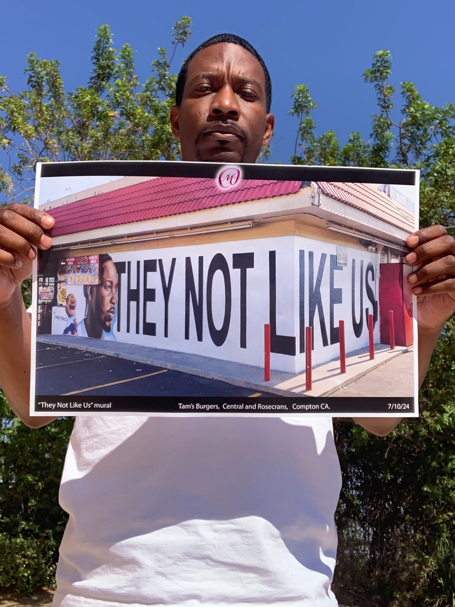 They Not Like Us Mural Print.